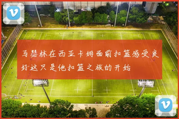 马瑟林在西亚卡姆面前扣篮感受良好这只是他扣篮之旅的开始