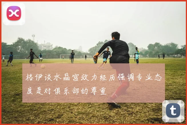 格伊谈水晶宫效力经历强调专业态度是对俱乐部的尊重